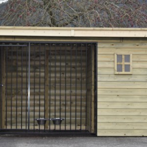 Eben gucken an der Vorderseite von Hundezwinger Modul FORZ