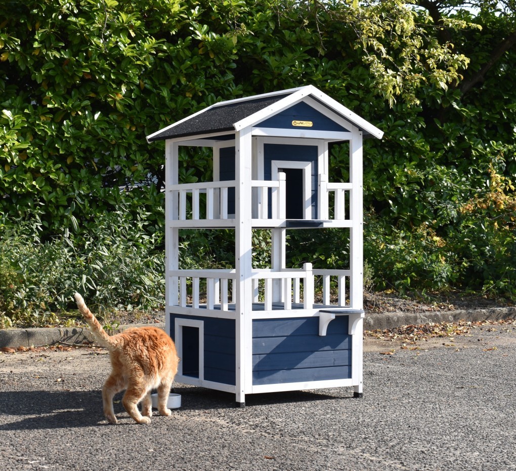 Katzenhaus Kitty