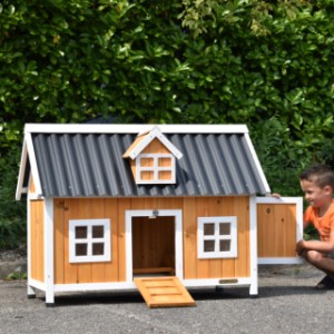 Der Stall aus Holz Cozy wird geliefert in die abgebildete Farben