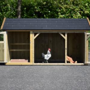 Der Hühnerstall Belle ist ausgestattet mit 2 große Türen