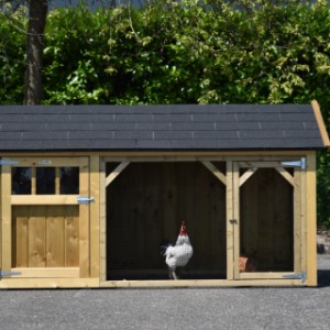 Der Stall aus Holz Belle ist geeignet für 5 bis 10 Hühner
