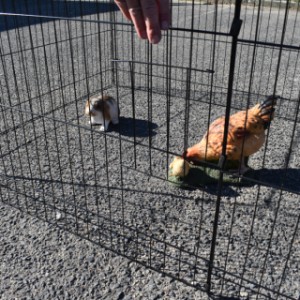 Tierauslauf Jacky - Schiebesluke in der lange Seite