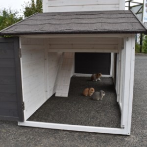 Der Kaninchenstall Annemieke Extra Large bietet viel Raum für Ihre Kaninchen