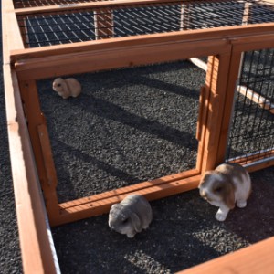 Die Multirun kann mit einer weiteren Multirun verbunden werden.