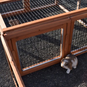 Die Multirun kann mit einer weiteren Multirun verbunden werden.