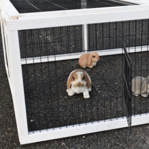 Der Multirun ist mit 3 kleinen Gittertürchen ausgestattet