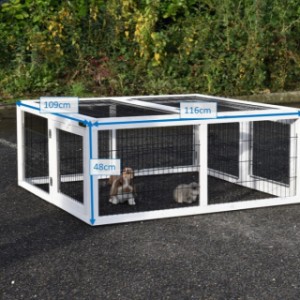 Verschiedene Größen des Kaninchenauslaufs Multirun