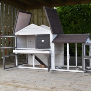 Tierheim Regular Medium bietet viel Platz für Ihre Kaninchen