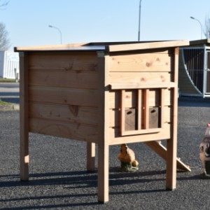 Eben gucken an der Rückseite von Hühnerstall Chicky