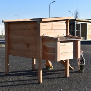 Eben gucken nach der Rückseite von Hühnerstall Chicky