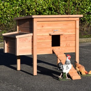 Hühnerstall Chicky 2 mit Legenest | Douglasienholz | 144x84x125cm