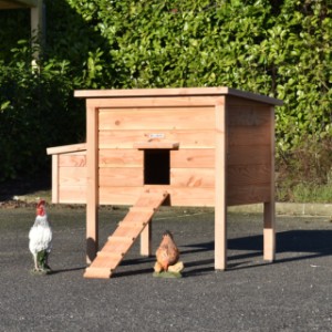 Hühnerstall aus Holz Chicky ist geeignet für 4 bis 8 Hühner