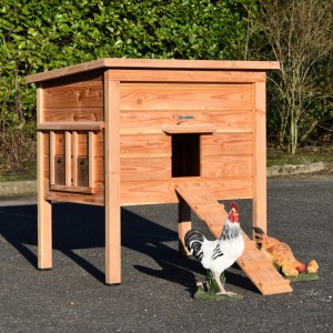 Hühnerstall Chicky 2 · Douglasienholz · 116x84x125cm