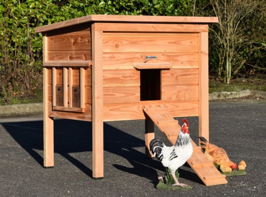 Hühnerstall Chicky 2 · Douglasienholz · 116x84x125cm