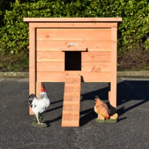 Hühnerstall Chicky 2 ist ein Erwerb für Ihre Garten