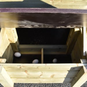 Im Hühnerstall Chicky 2 kann man die Eier ganz einfach einsammeln