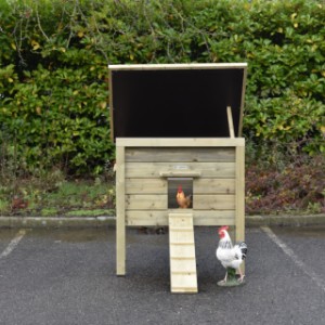 Das Dach des Hühnerstalls Chicky kann mit einer Stütze hochgestellt werden