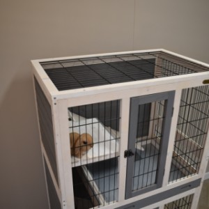 Kaninchenkäfig Beau ist ausgestattet mit ein Gitterdach