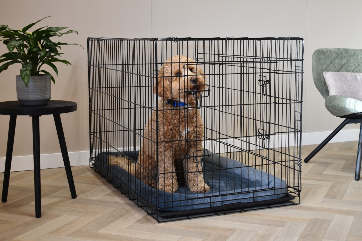Hundekäfig XXL mit Kissen - Profit 122cm