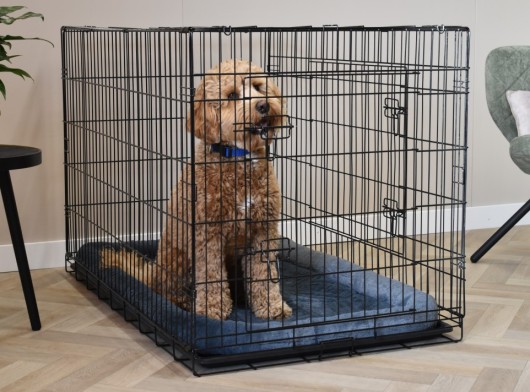 Hundekäfig mit Kissen · Profit XL 122cm · 2-Türen · 122x74x80cm