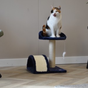 Kratzstange Kasper bietet viel Spaß für Ihre Katze