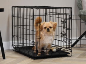 Hundekäfig Profit 63cm · 2-Türen · 63x44x51cm