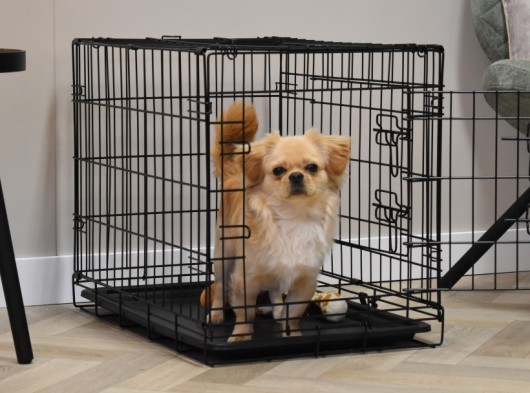 Hundekäfig Profit 63cm · 2-Türen · 63x44x51cm