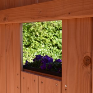 Spielhaus Dream | Fenster vom Innenseite