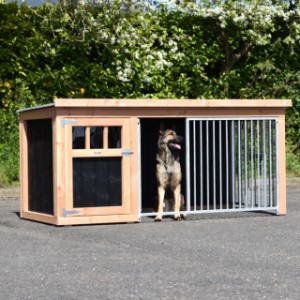 Hundezwinger Isabelle 2 - 242x122x113cm
