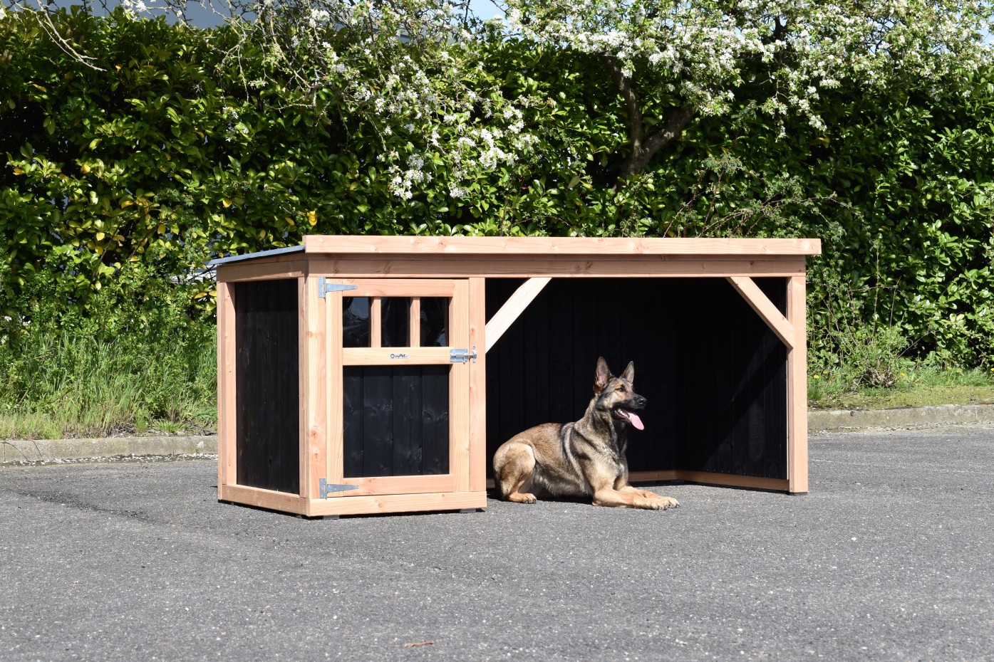 Hundehütte Isa 1