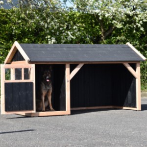 Der Stall Isa bietet viel Platz für Ihre Hund