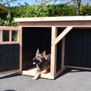 Hundehütte Isa 1 mit Veranda - ausreichend Platz im Schlafbereich für einen (mittel)großen Hund