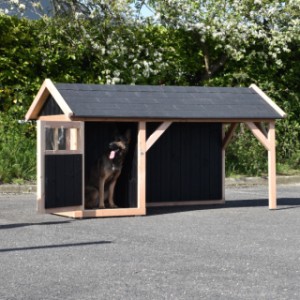 Der Stall Isa bietet viel Platz für Ihre Hund