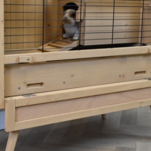 Meerschweinchenstall Anna ist ein schöne Stall um Innen zu platzieren