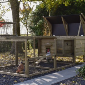 Hühnerstall Eggy mit Auslauf - Immer ordentlich! Mit dem schwenkbaren Dach reinigen Sie den Auslauf und den Stall mühelos.