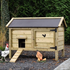 Hühnerstall Eggy - Imprägniertes Fichtenholz