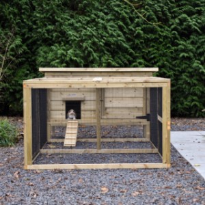 Kaninchenstall Eggy mit Auslauf - Stilvoll und funktional! Ein Hingucker für Ihren Garten und Komfort für Ihre Kaninchen.