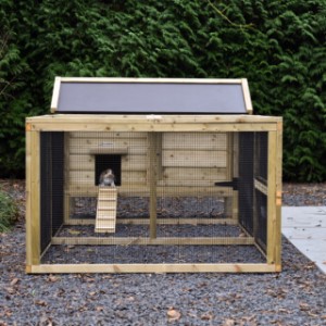 Kaninchenstall Eggy mit Auslauf - Stilvoll und funktional! Ein Hingucker für Ihren Garten und Komfort für Ihre Kaninchen.