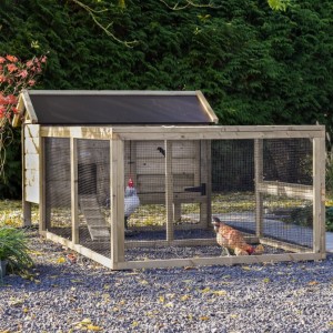 Hühnerstall Eggy - Imprägniertes Fichtenholz
