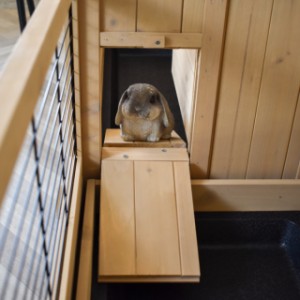 Nagetiergehege Anna Doppel - Durch die Öffnungen an den Seiten kann das Kaninchen oder Meerschweinchen leicht in das andere Gehege laufen.
