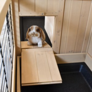 Nagetiergehege Nina Doppel - Durch die Öffnungen an den Seiten kann das Kaninchen oder Meerschweinchen leicht in das andere Gehege laufen.
