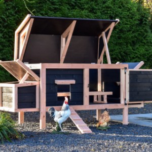 Durch das praktische scharnierende Dach und die Tür ist das Hühnerhaus Eggy einfach zu reinigen.