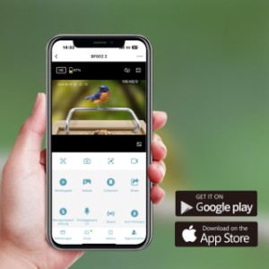 Sanilu Vogelfutterhaus | mit kostenloser App