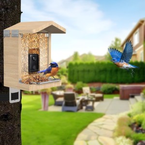 Sanilu Vogelfutterhaus mit Kamera inkl. Solar Panel