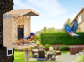 Sanilu Vogelfutterhaus mit Kamera inkl. Solar Panel