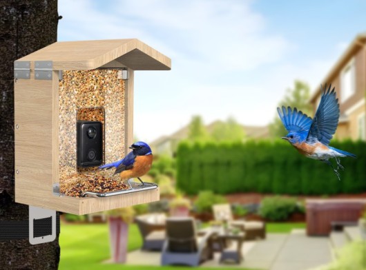 Sanilu Vogelfutterhaus mit Kamera inkl. Solar Panel