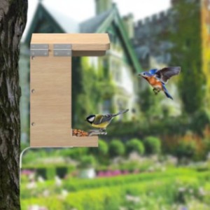 Sanilu Vogelfutterhaus | Die Vögel fliegen aus und ein!