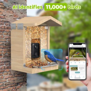 Sanilu Vogelfutterhaus | Das KI-System erkennt mehr als 11.000 Vogelarten