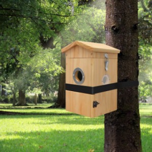 Sanilu-Nistkasten | Mit dem mitgelieferten Spanngurt kann er ohne Bohren am Baum befestigt werden