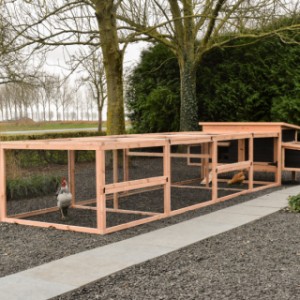 Durch den extra großen Auslauf haben die Hühner besonders viel Platz zum Scharren.